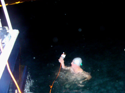 Www Hoffyswims Com A Long Night In The English Channel England