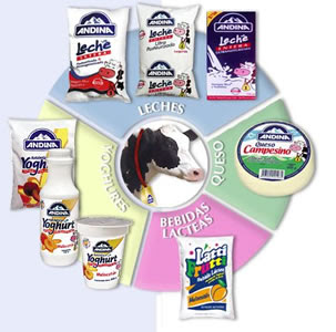 productos lacteos: productos lacteos