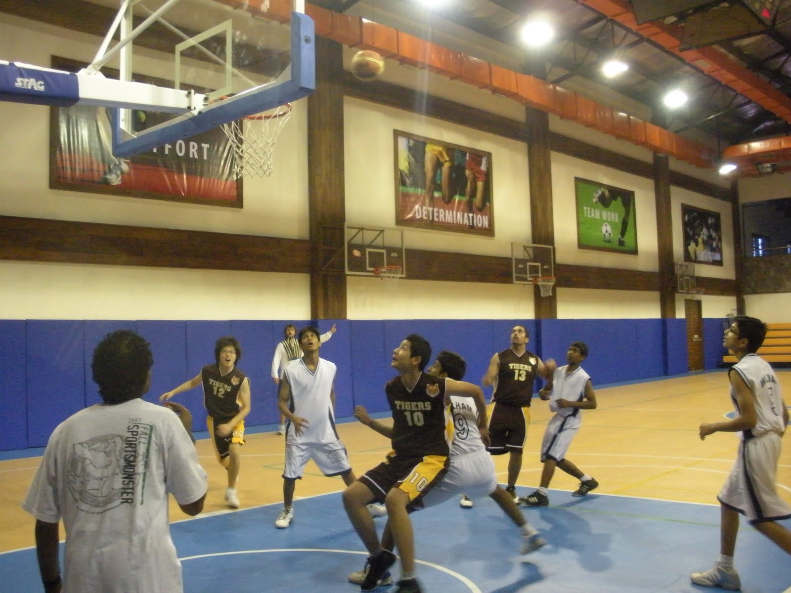 The Woodstock Sportaholic