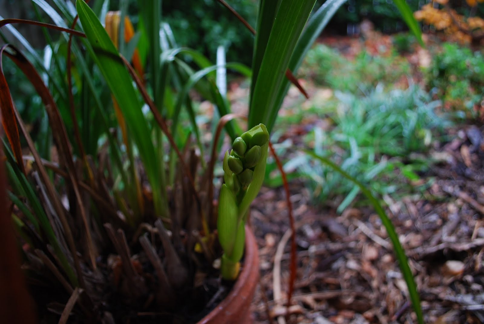 what we do when we garden