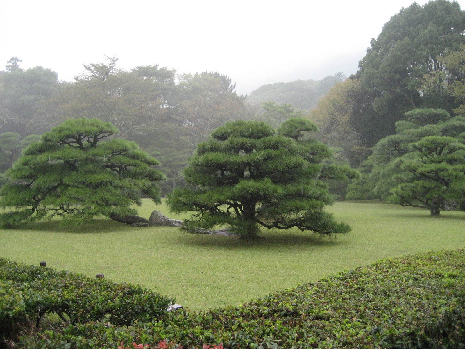mochimochi sembei Ise Jingu Mie Prefecture, Japan