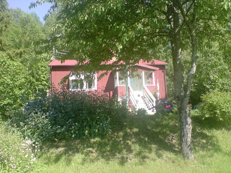 [image-upload-77-700572.jpg]