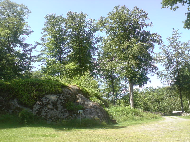 [image-upload-15-726548.jpg]