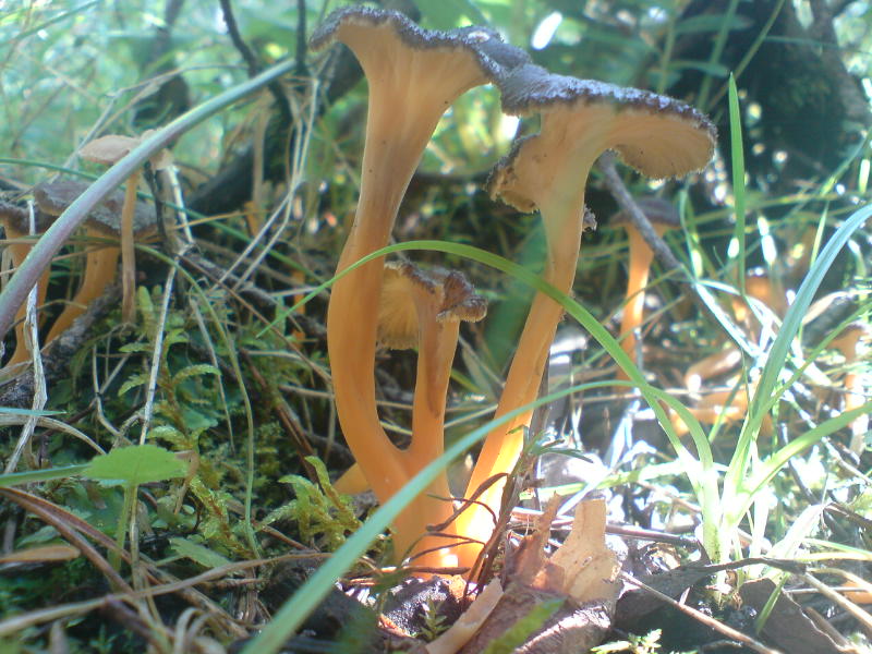 [image-upload-100-778814.jpg]