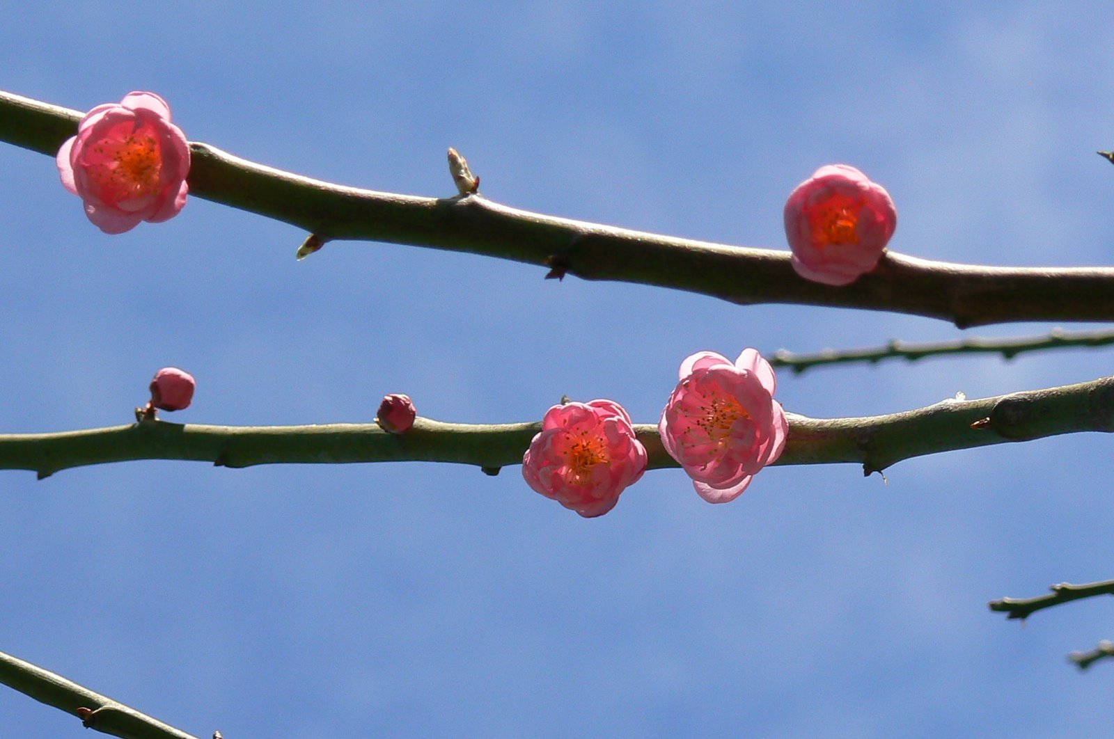 [P1070916.JPG]