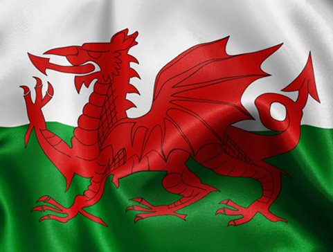 [Flag+of+Wales.jpg]