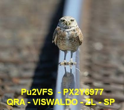 PU2VFS-PX2Y6977- Viswaldo