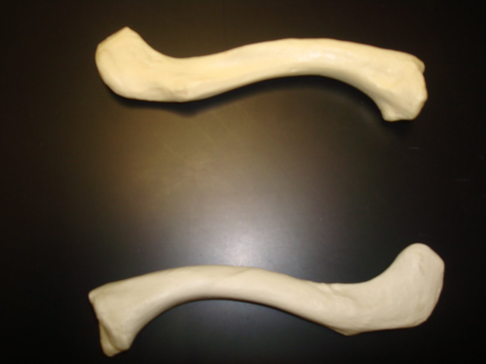 lafing bone of human body