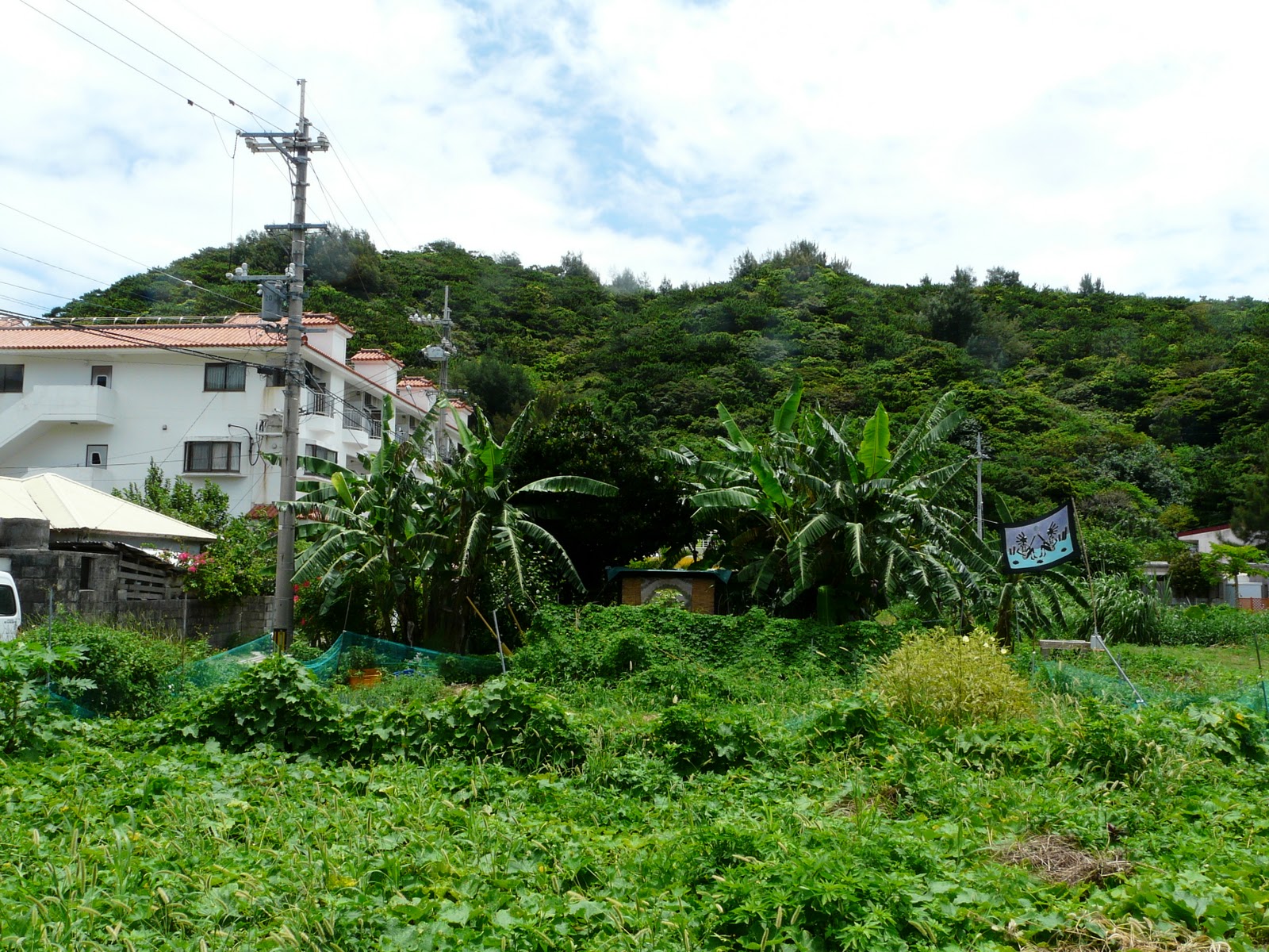 We♥Japan Une journée à Zamami Jima