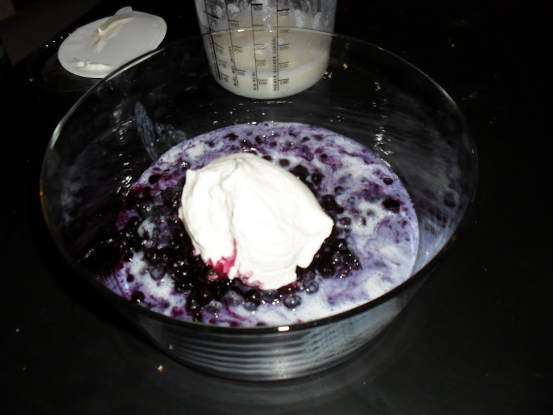 Bowl of cottage cheese and blueberries