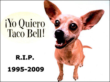 [tacobell.jpg]