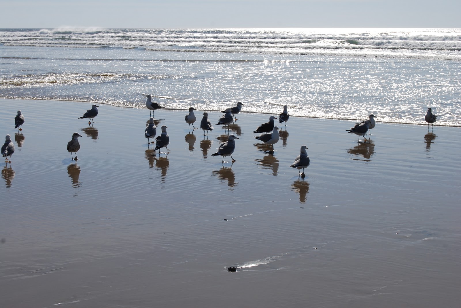 Gamma Susie's This n That Bugs Bunny's Favorite Vacation Spot