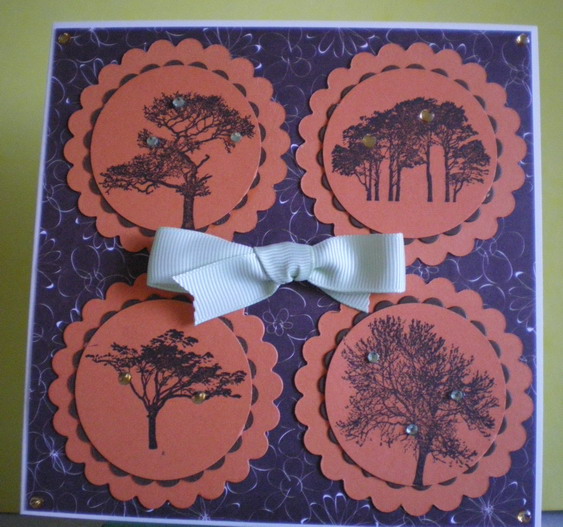 [12-10-2009+14-06-49_0062.jpg]