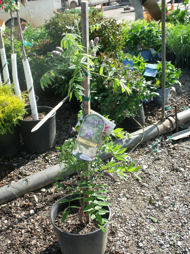 Greenleaf Nursery OK Customer Service Dock Shots