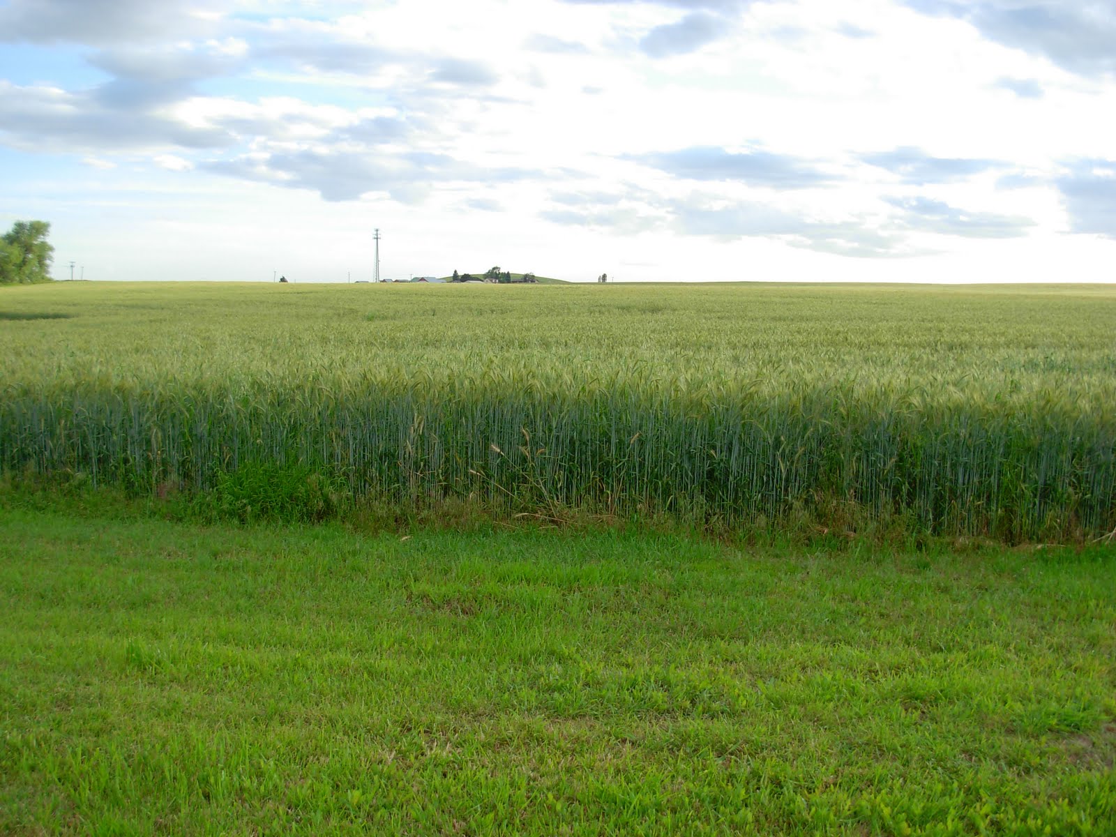 . Gateway to the Palouse Spangle, WA