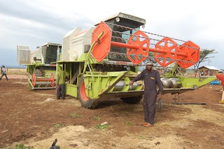 Ethiopian Harvester