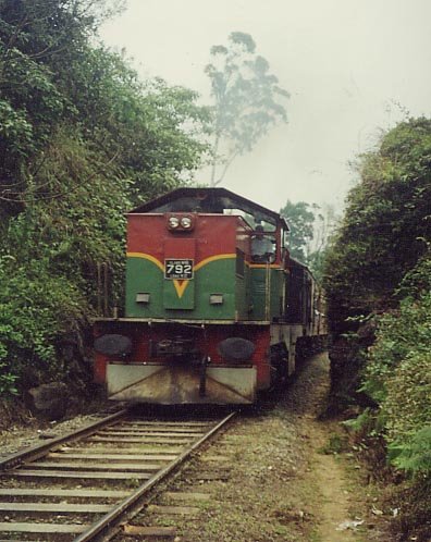 train%2Bat%2Bpattipola.bmp