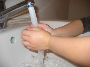 [lAVAGE8MAIN_001.jpg]