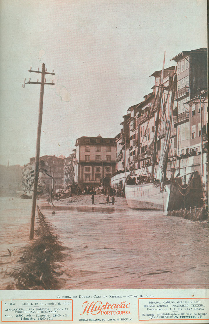 [N203_0001_branca_t0.jpg]