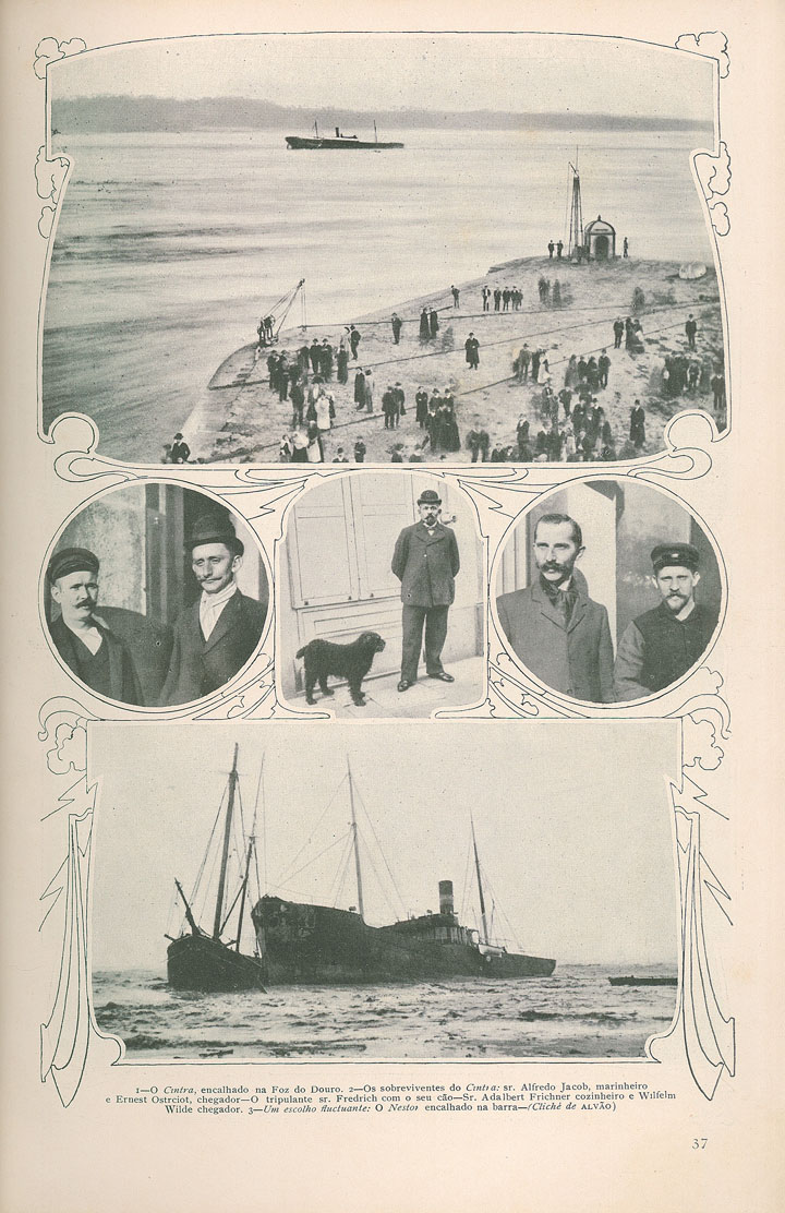 [N203_0007_branca_t0.jpg]