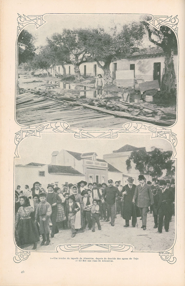 [N203_0016_branca_t0.jpg]