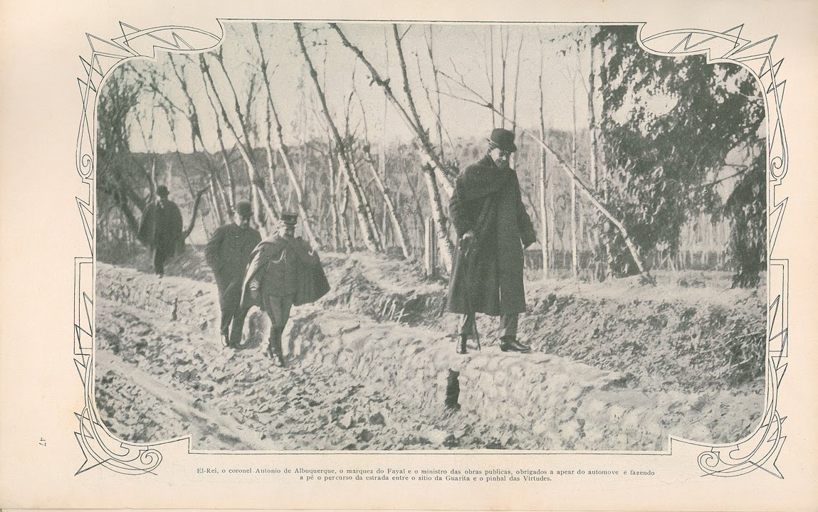 [N203_0017_branca_t0.jpg]