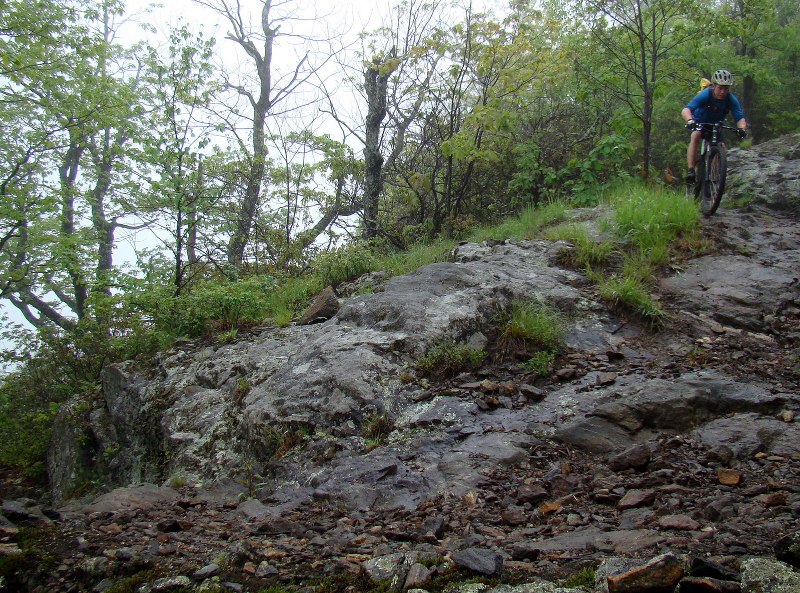 [DSC02685.JPG]