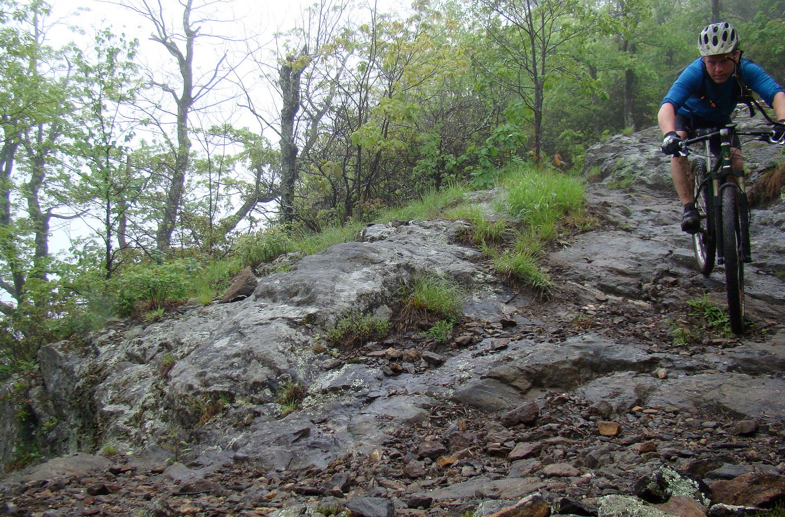 [DSC02686.JPG]