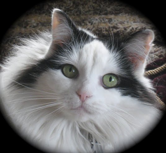 [Grace-on-Lily's-Last-Day.jpg]