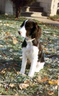 [Teisha's-first-snow-12_81.jpg]