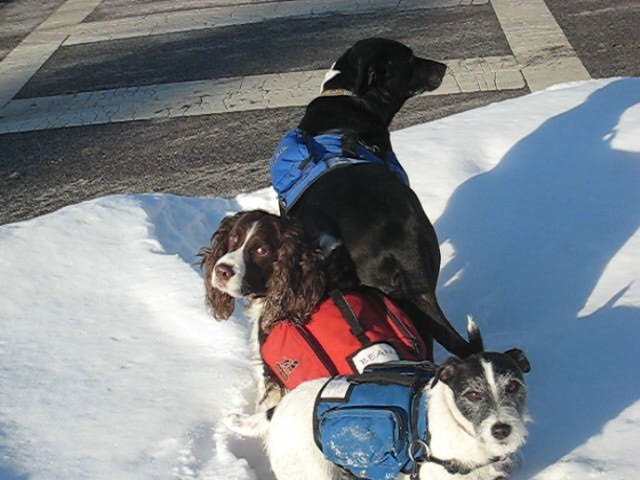 [CrossingStreetStill+copy.jpg]