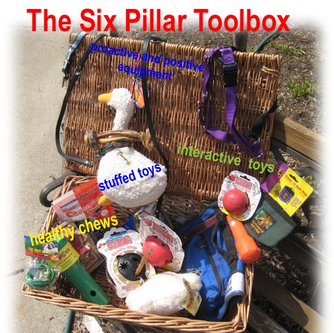 [The6PillarToolboxLabel.jpg]