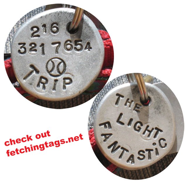 [TripFetchingTagwithText.jpg]