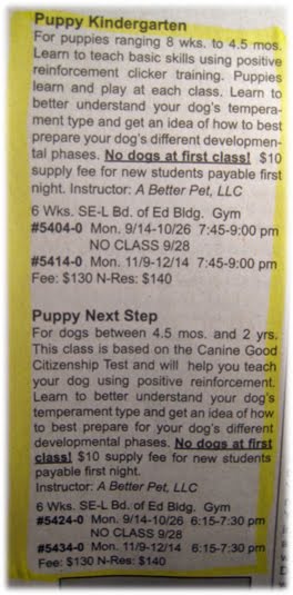 [Selrec-Course-Content-09.jpg]