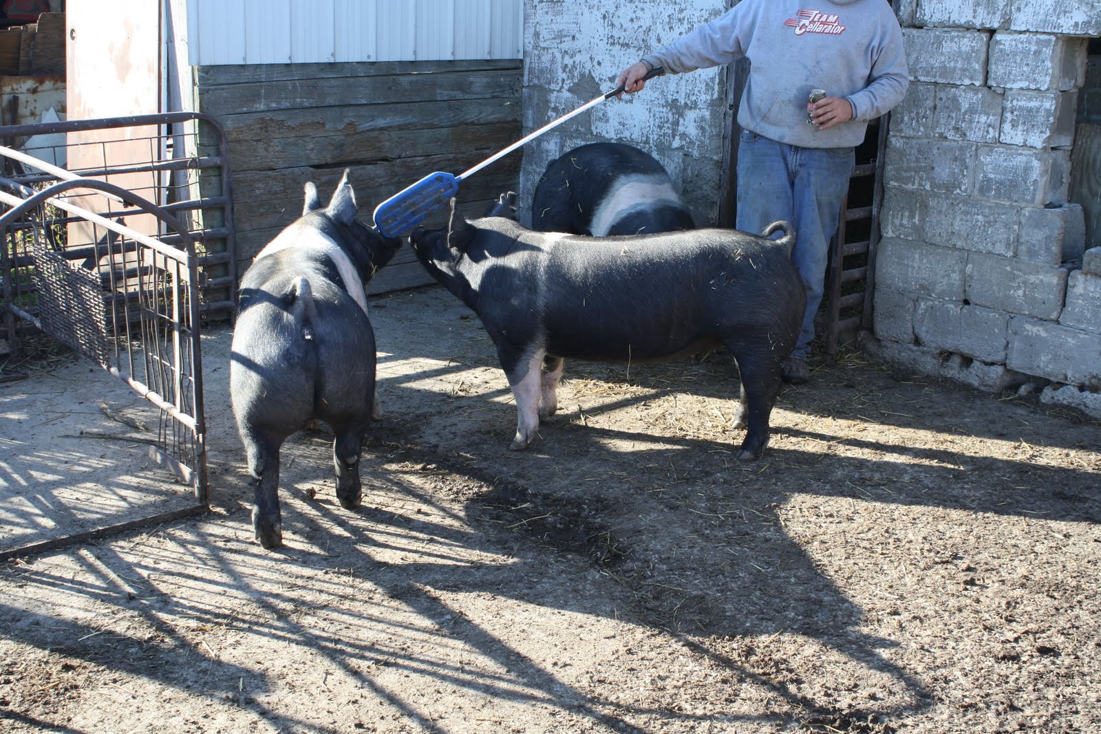 NSR Fieldview Hines Farm