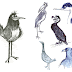 Birds