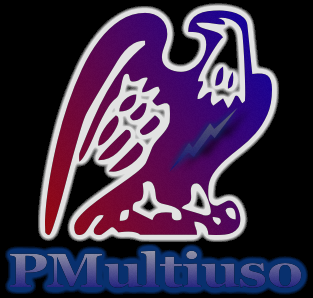 PMultiuso