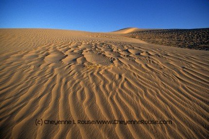 [poe+blog+planet+chey+sand+dune.jpg]