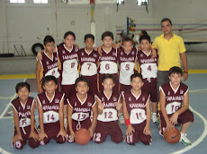 Temporada de Liga 2009