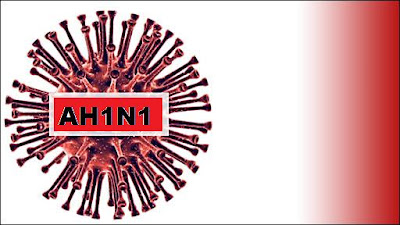 AH1N1 en Bolivia