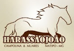 Haras São João. Clique na imagem e acesse o site do Haras.