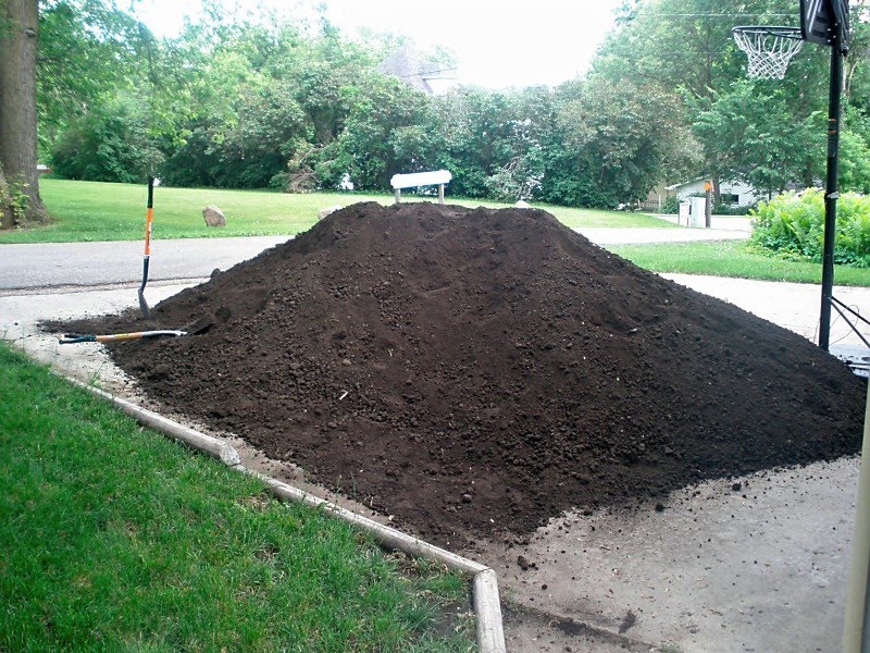 The Johnson's August 2010