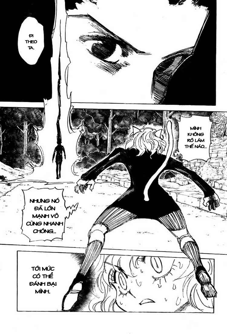 Hunter X Hunter Chap 196 - Next Chap 197 image 6