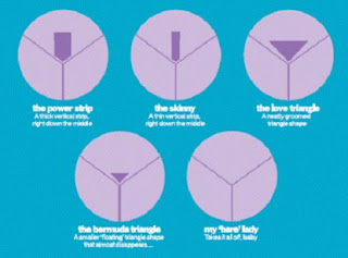 Best of Bliss bikini wax bikini wax Bliss