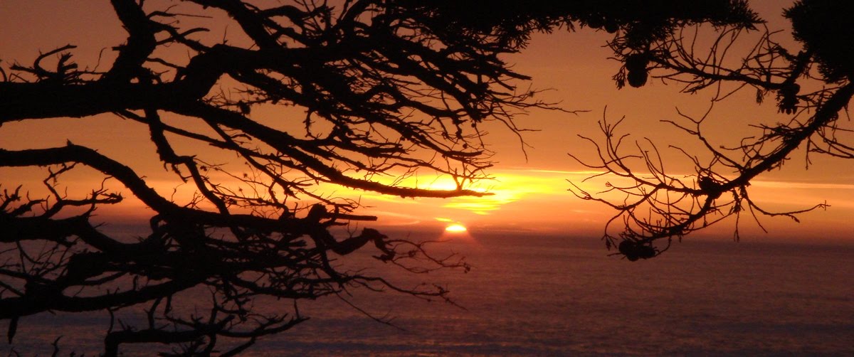 [Monterey-Sunset.jpg]
