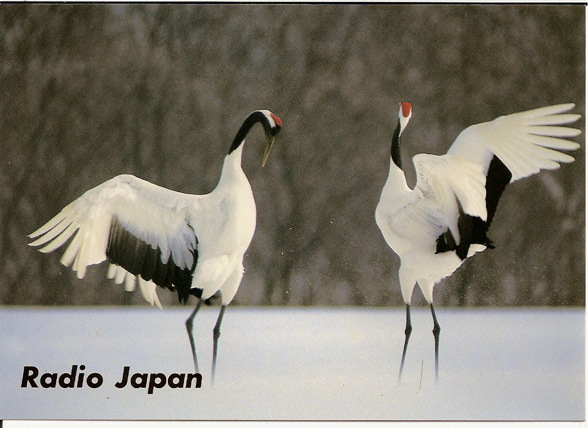 [Japan,+NHK+Swans+in+Snow.jpg]