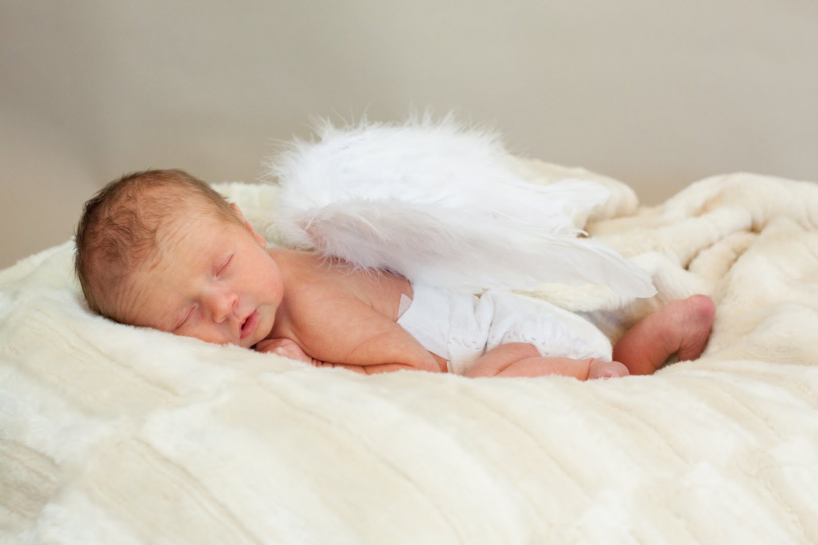 The ABCs (Ashley, Brian, Briley, Crew)