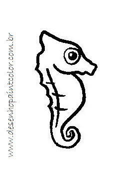 Desenhos de Cavalo-Marinho - Como desenhar Cavalo-Marinho passo a