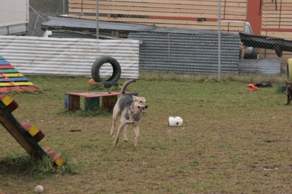[18.01.10+002-732610.jpg]