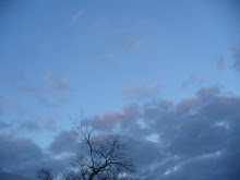Blue Skys